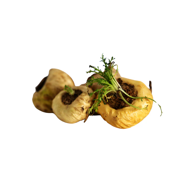 Maca - Ingrediente natural